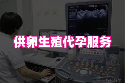 梦美助孕网 1
