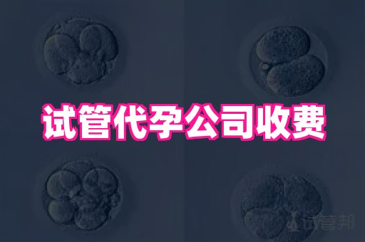 梦美助孕网 4